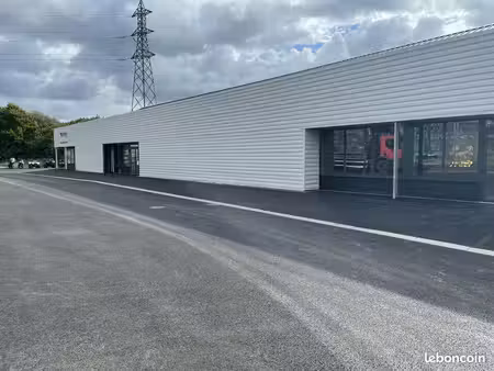 local d'activité 700 m²