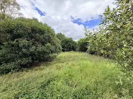 terrain à bâtir de 533 m² à toulouse - 31200 (31)