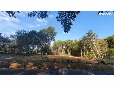 terrain 1 100 m² bazas