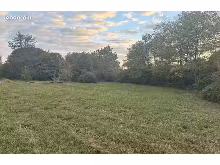 terrain 3 000 m² langon