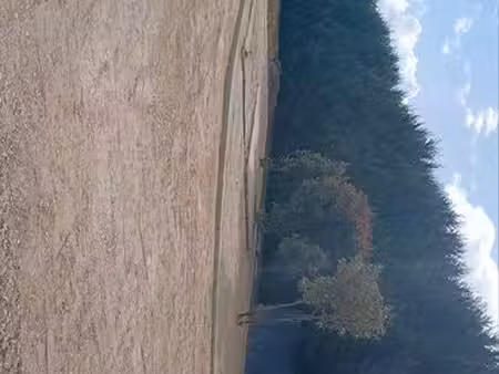 terrain agricole 2200m avec electricite
