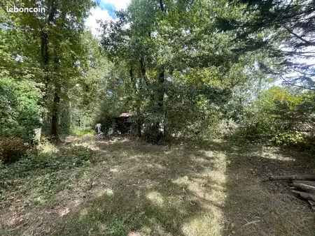 terrain boisé en bordure de forêt constructible
