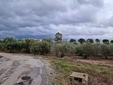 terrains agricole