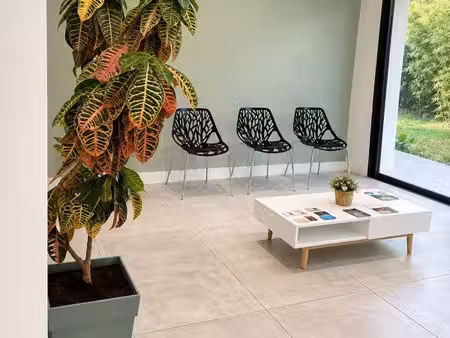 à louer – cabinet professionnel avec salle d’attente – carbonne (31)