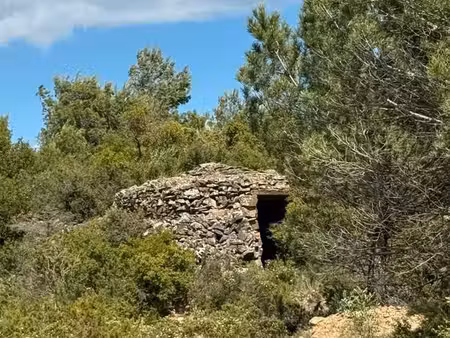 vente parcelle de + 2hectares de vigne