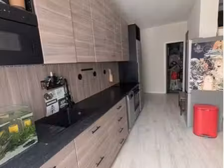 appartement meublé 46m2 avec cave