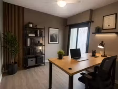 bureau professionnel à louer