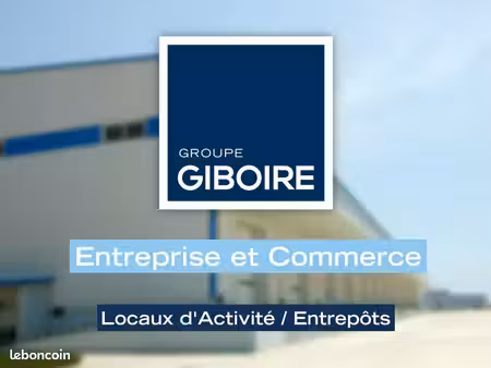 local d'activité 240 m²
