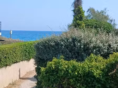 gd studio frontignan plage face mer