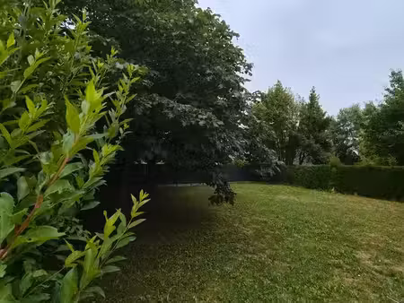 terrain constructible