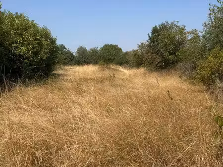 terrain de loisirs