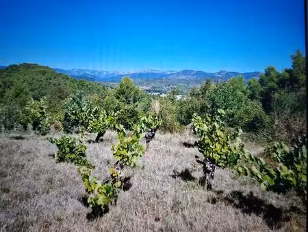 vente terrain agricole de loisirs avec vignes