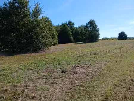 parcelle terrain