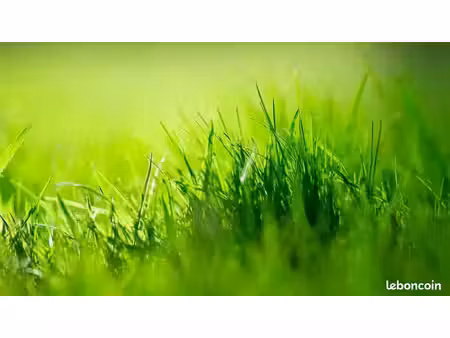 terrain 500 m² athee sur cher