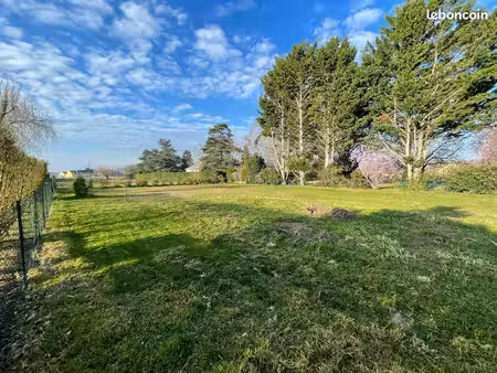 terrain constructible