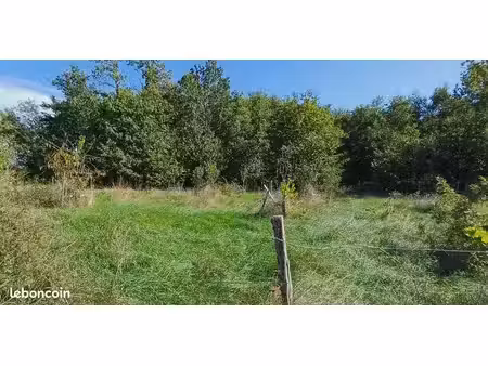 terrain composé de taillis  bois et jeune verger  non constructible