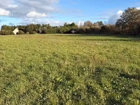 terrain 800 m² blere