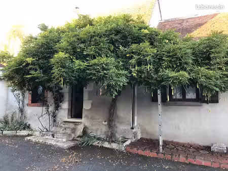 ancienne maison atypique en campagne lochoise