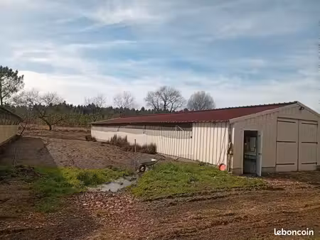 exploitation agricole  élevage canards label