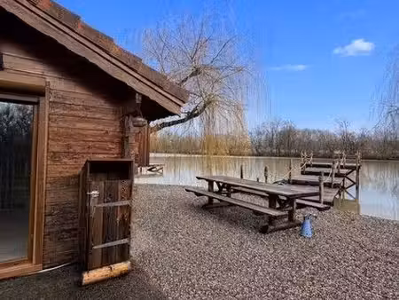 etang de pêche à la carpe