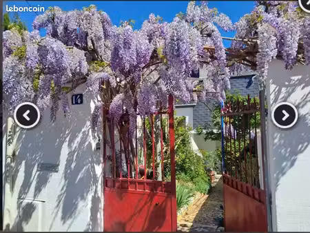 maison tours febvotte drhat