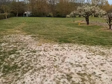 terrain à bâtir