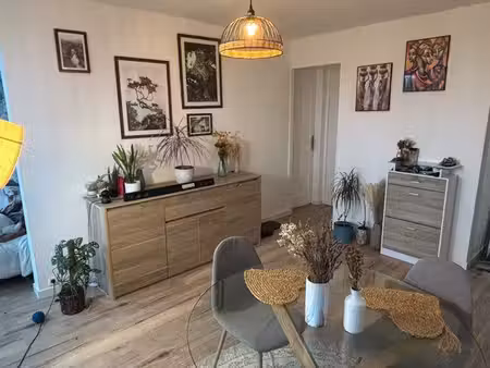 appartement lumineux t3 bis