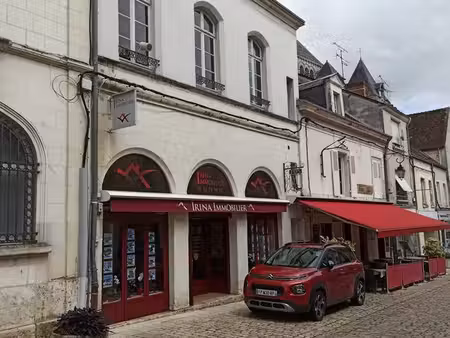 saint-aignan-sur-cher – bel immeuble de caractère- investissement locatif