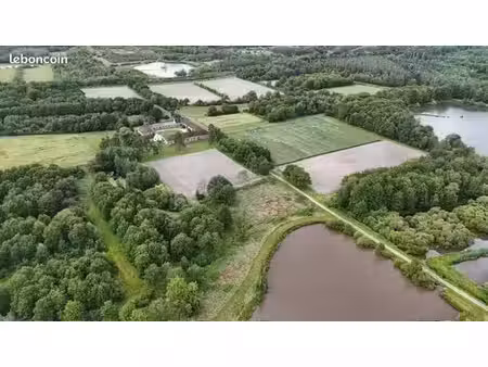 domaine de chasse en sologne