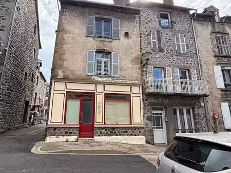 maison allanche 5 pièce(s) 230 m2