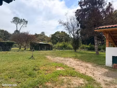 location maison jardin