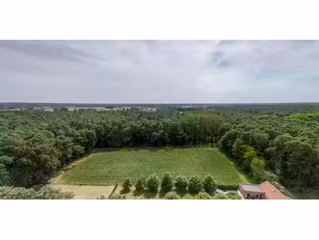 bois à vendre à poederlee pour € 120.000
