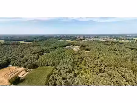 bois à vendre à vorselaar pour € 235.000