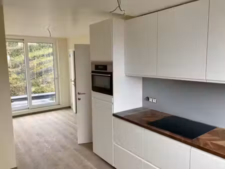 magnifique appartement 1 ch  premier usage près de louvain