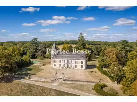 château à vendre