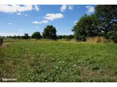 terrain constructible