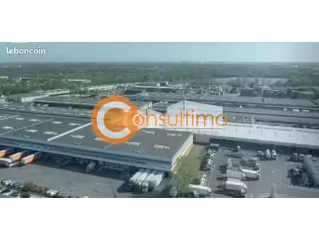 local d'activite 375 m² bruges