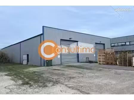 local d'activite 850 m² carbon blanc
