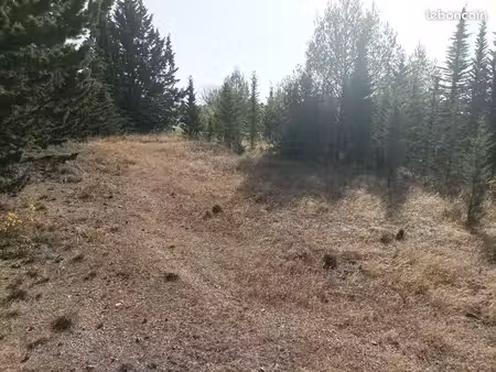 terrain constructible 7370 m2