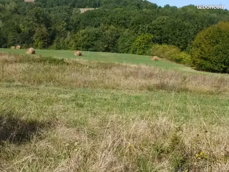 terrain agricole