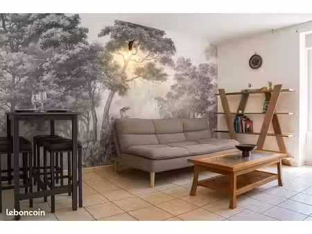 appartement t2 meublé millau