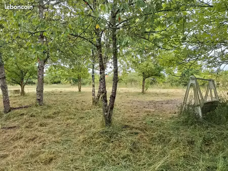 terrain de loisirs