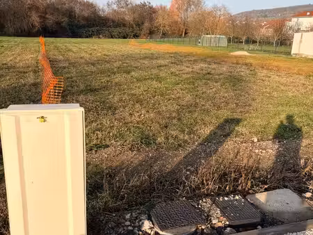 terrain viabilisé constructible