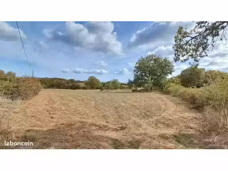 terrain constructible