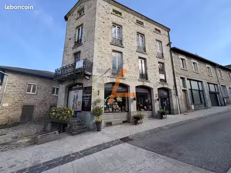 immeuble 10 pièces 205 m²