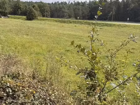 terrain 6 263 m² reyersviller