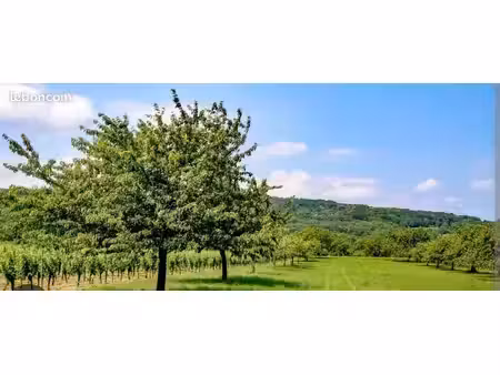 cherche verger  terrain agricole