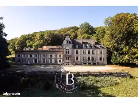 chateau 27 pièces 785 m²