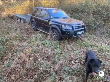 bois privé