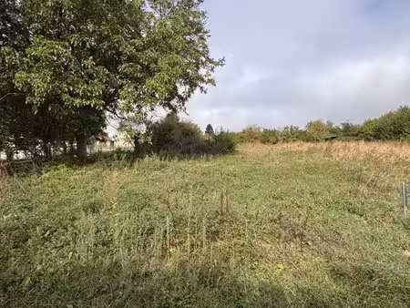 terrain constructible